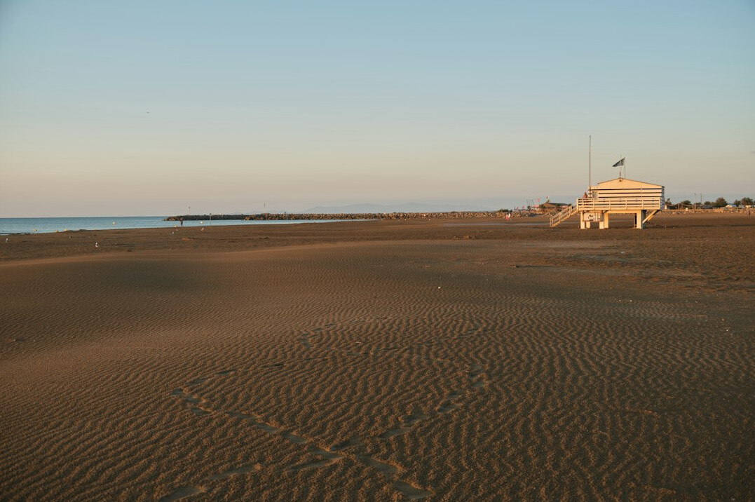 Horses walking along an empty beach at sunset