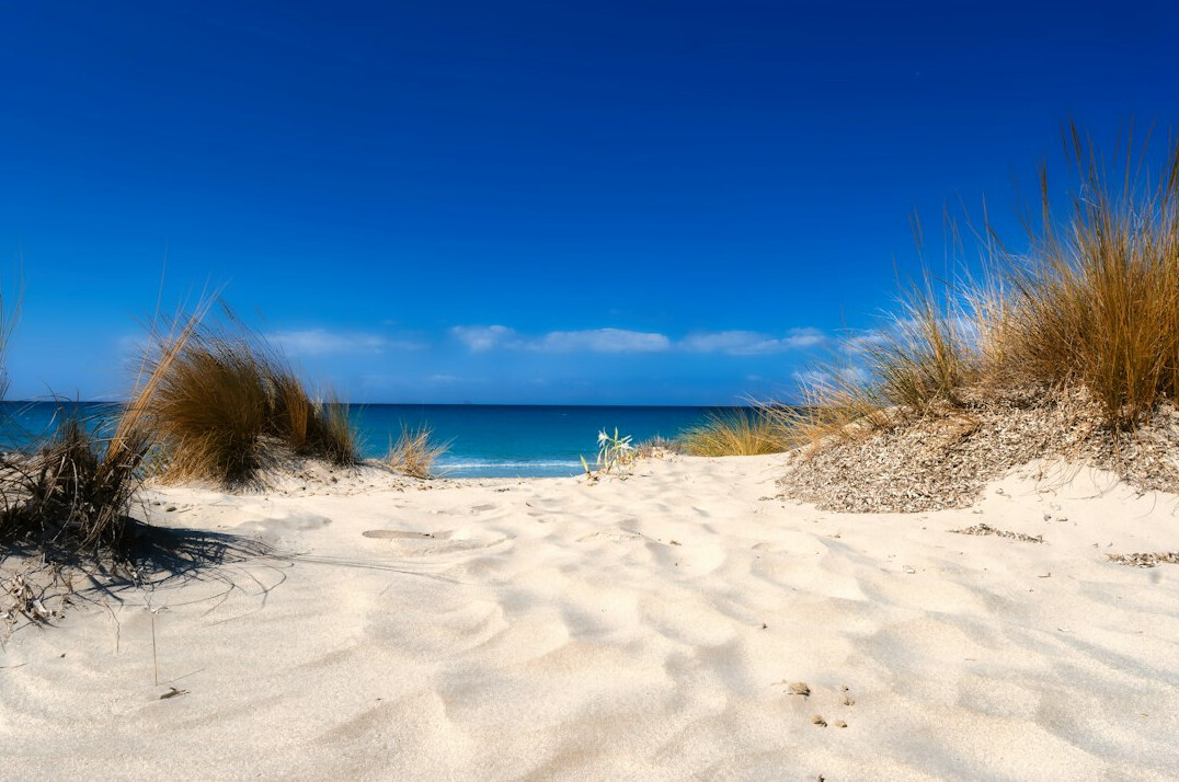 Empty sandy beach with turquoise water and dune vegetation