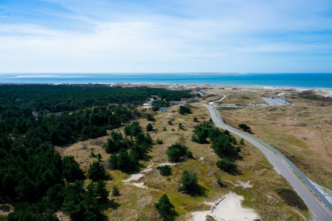 Pine forest and dunes along a quiet coastal road